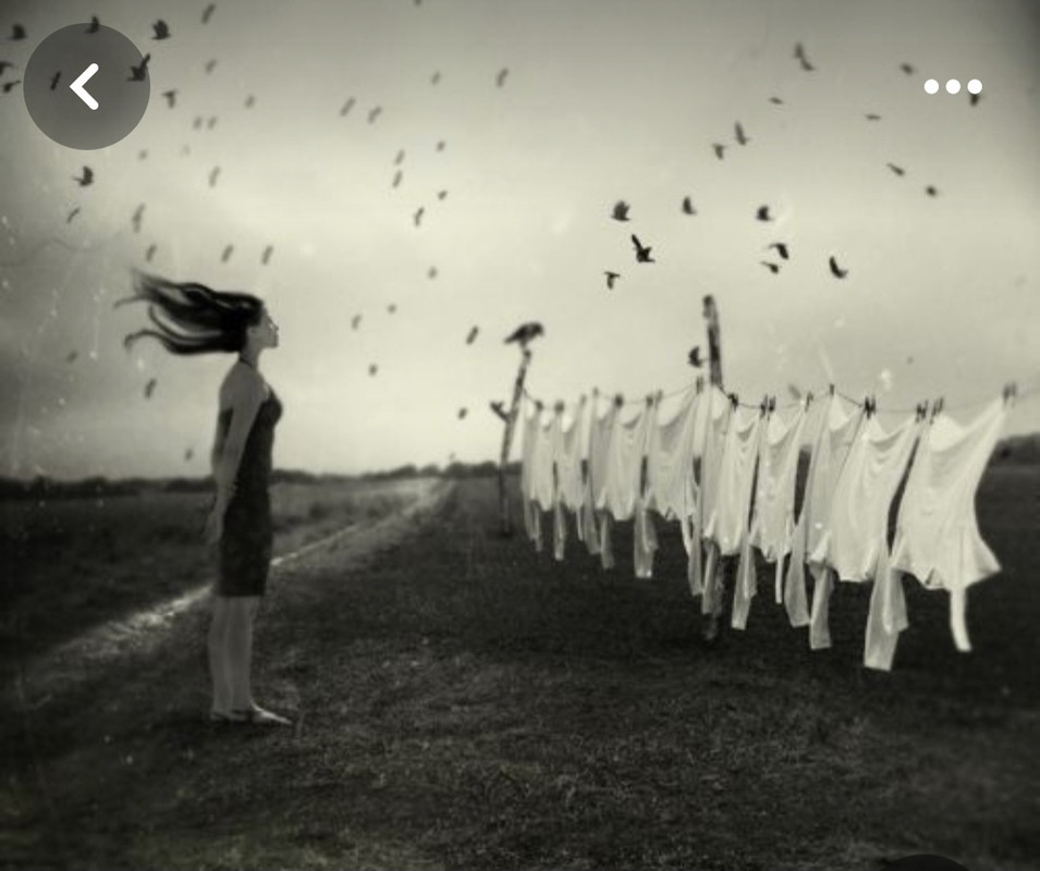 Screenshot_20240329_210502_Pinterest