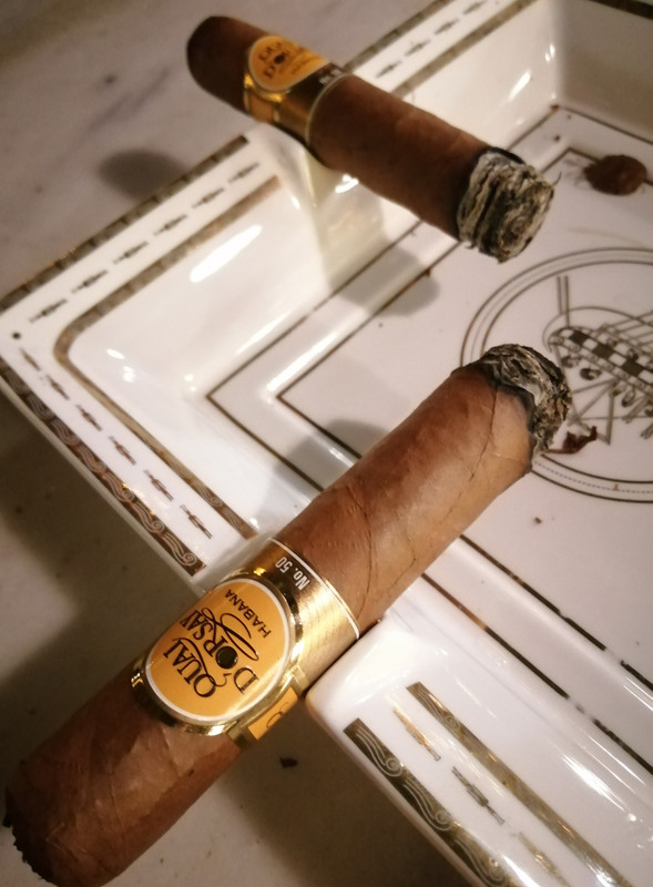 IMG_20240403_133245[1]