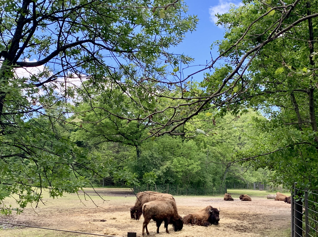 B8F5FBA8-0691-41FD-820B-01F1E868D0BC