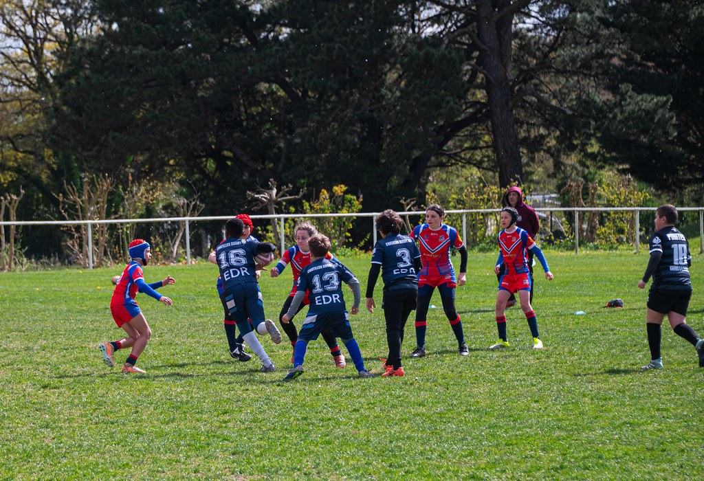 tournoi-de-latlantique-2026-adonis-griffon-29-55181290771-l