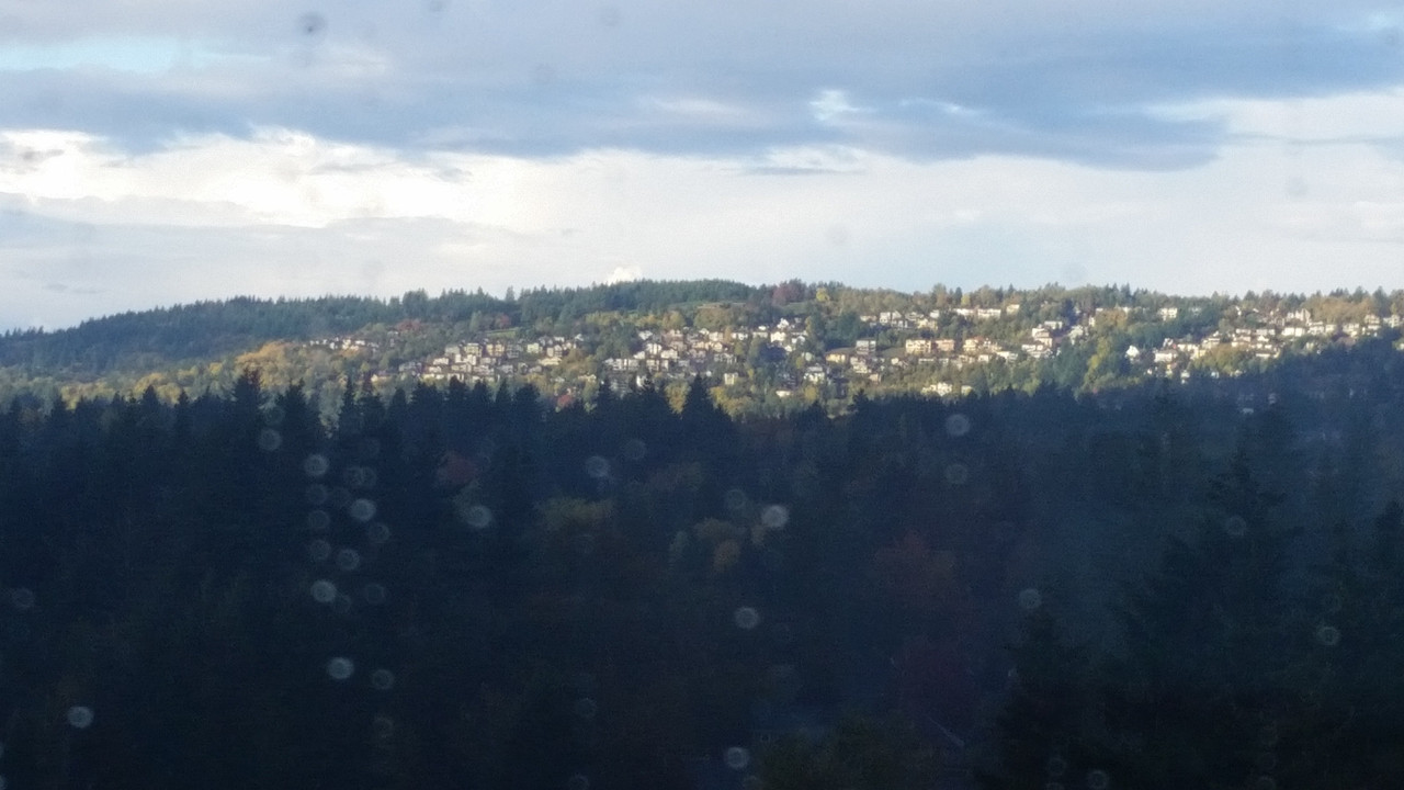 [Image: 20181029-162537.jpg]