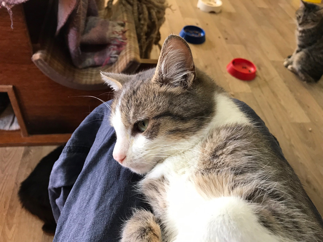 575B7EE6-BB1B-4FF5-8561-11F9C0B11FF5