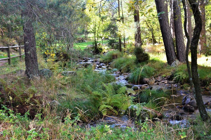 EL CHORRO DE NAVAFRIA-23-10-2013-SEGOVIA - Paseando por España-1991/2016 (5)