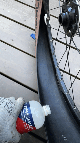 https://i.postimg.cc/bvY9PCQG/9446A116-C5DC-41F1-BA74-4B5C2F871A6E-ezgif-com-video-to-gif-converter.gif