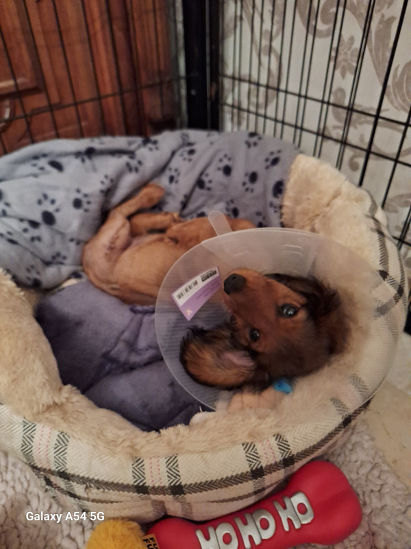 [Image: 20240916-211255.jpg]