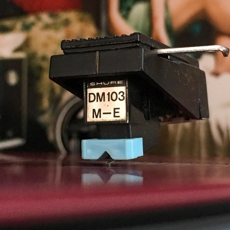 F&TM Lungs 10th (6 von 9)