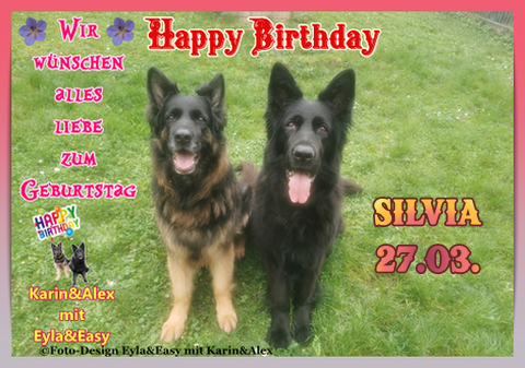 An den Beitrag angehängtes Bild: https://i.postimg.cc/bvYYywz6/Vorlage-Bild-Geburtstag-2025-png-Silvia.png
