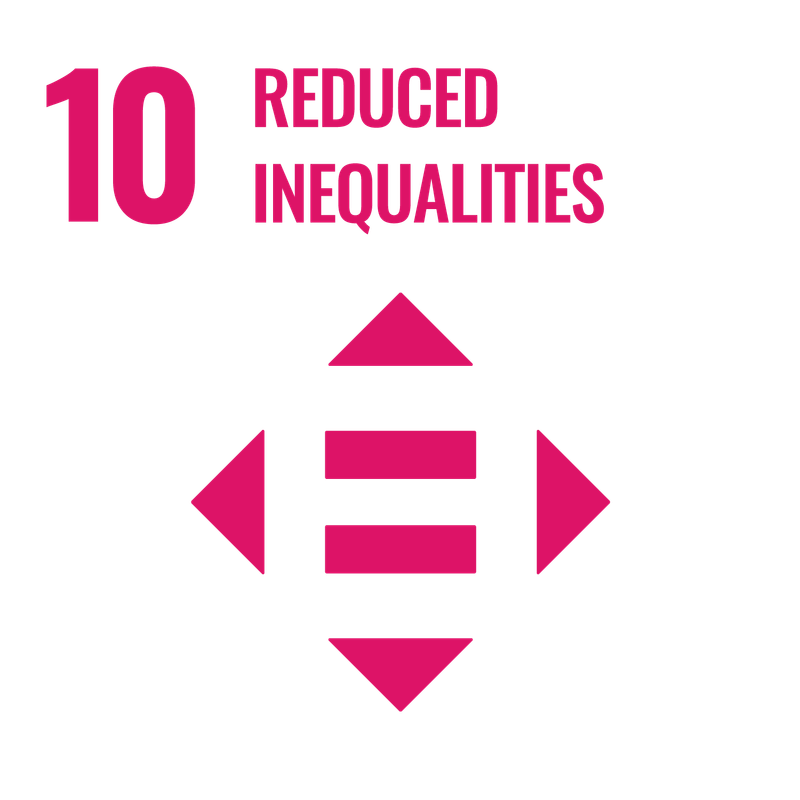 SDG 11