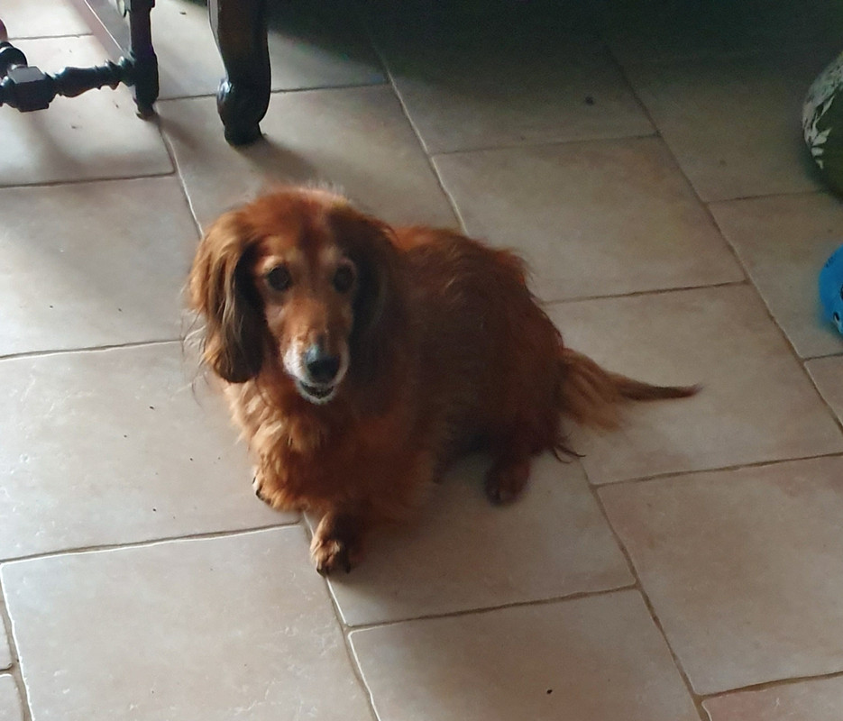 [Image: 20221127-153611.jpg]