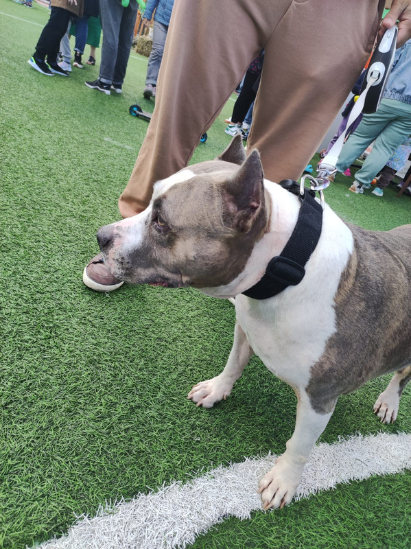 A17EFB4D-D1E1-4F9C-BBA6-054E7C8C6D39