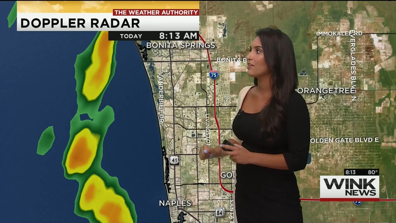 08.16 - 11.00.00 - WINK News @ 6 00AM Sunday..ts_snapshot_00.14.27.573