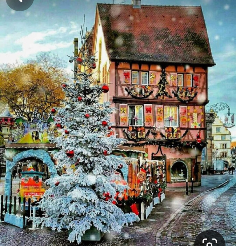 Screenshot_20231118_231908_Pinterest