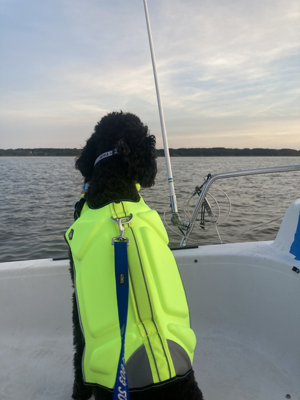 F60E108B-EF61-4176-AAC7-E3AFFE85E9D5