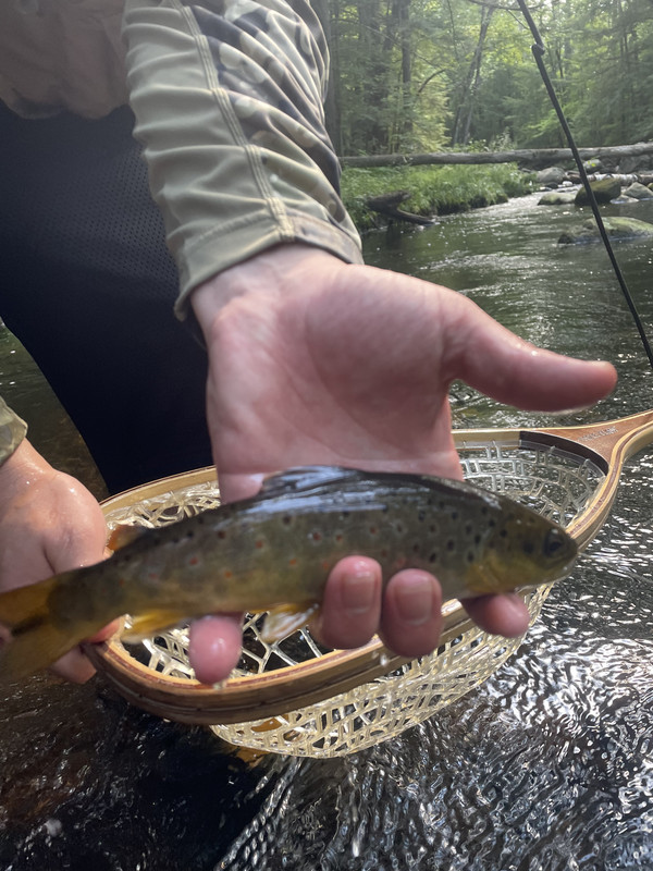 5538D872-3634-4600-B5E2-38FE6507428F