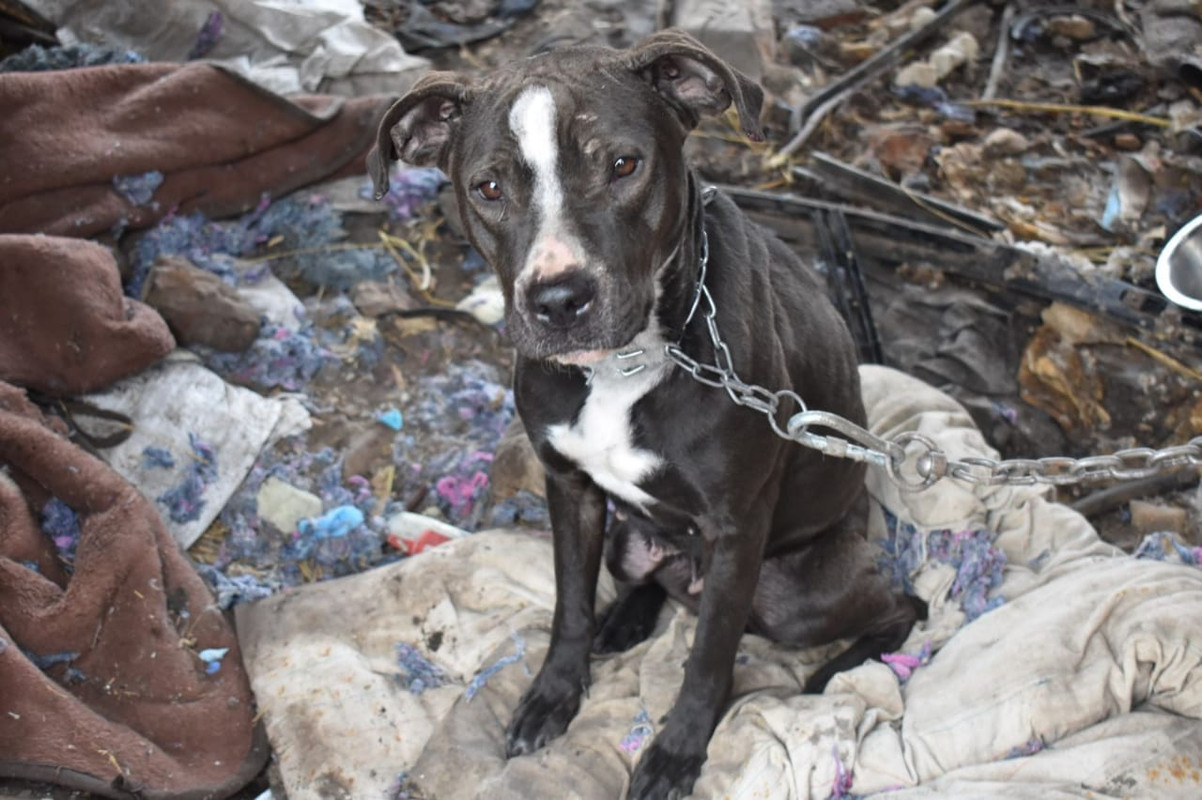 WhatsApp Image 2024-05-14 at 14.51.09 (4)