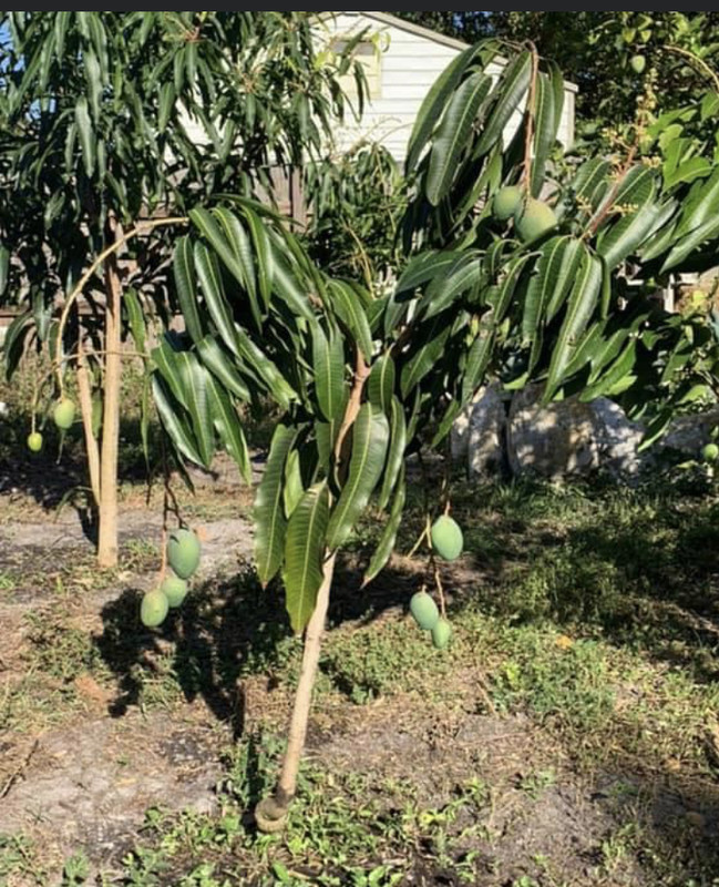 301CF671-0E0C-4BCA-855C-74451854B4CD