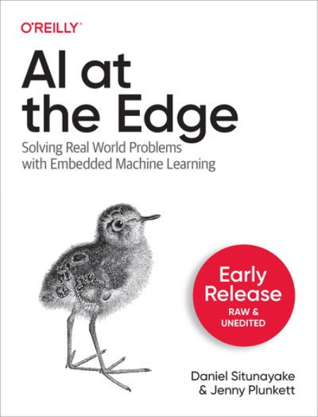 AI at the Edge