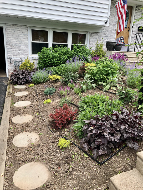 177666B9-C3E1-4C82-BF97-AD22E6D046EE