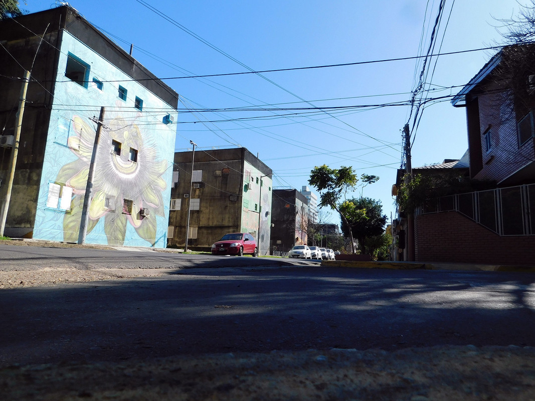 DSCN0051.jpg
