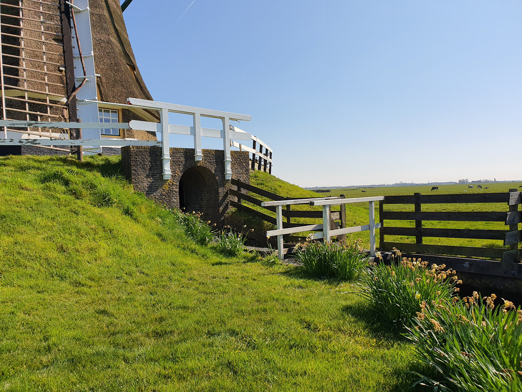 Pieter Zuijkerbuijk, Molen Nr.4 (Putmolen) 07 Aarlanderveen 05-04-2020