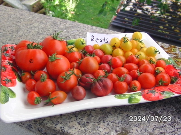[Bild: BILD0256.jpg]