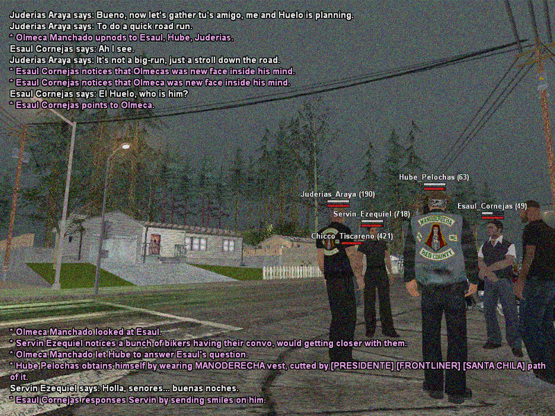 SSRoleplay301.png