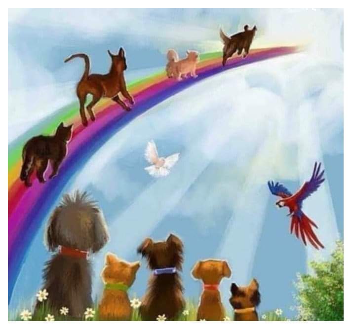 [Image: FB-IMG-1694529906276.jpg]