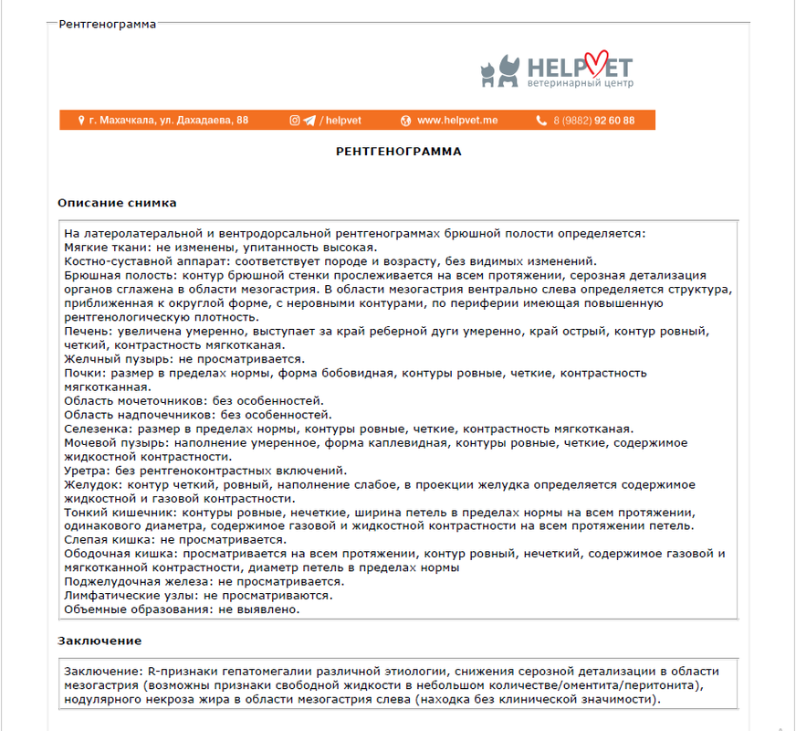 рентген-описание