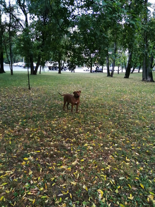 3AE9C4EA-FFF7-41F7-9325-A09BD124FB73