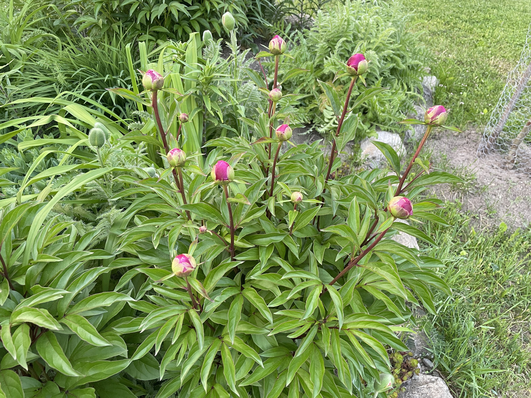 3140EE7D-B134-4FDC-9481-6974BB985CAA