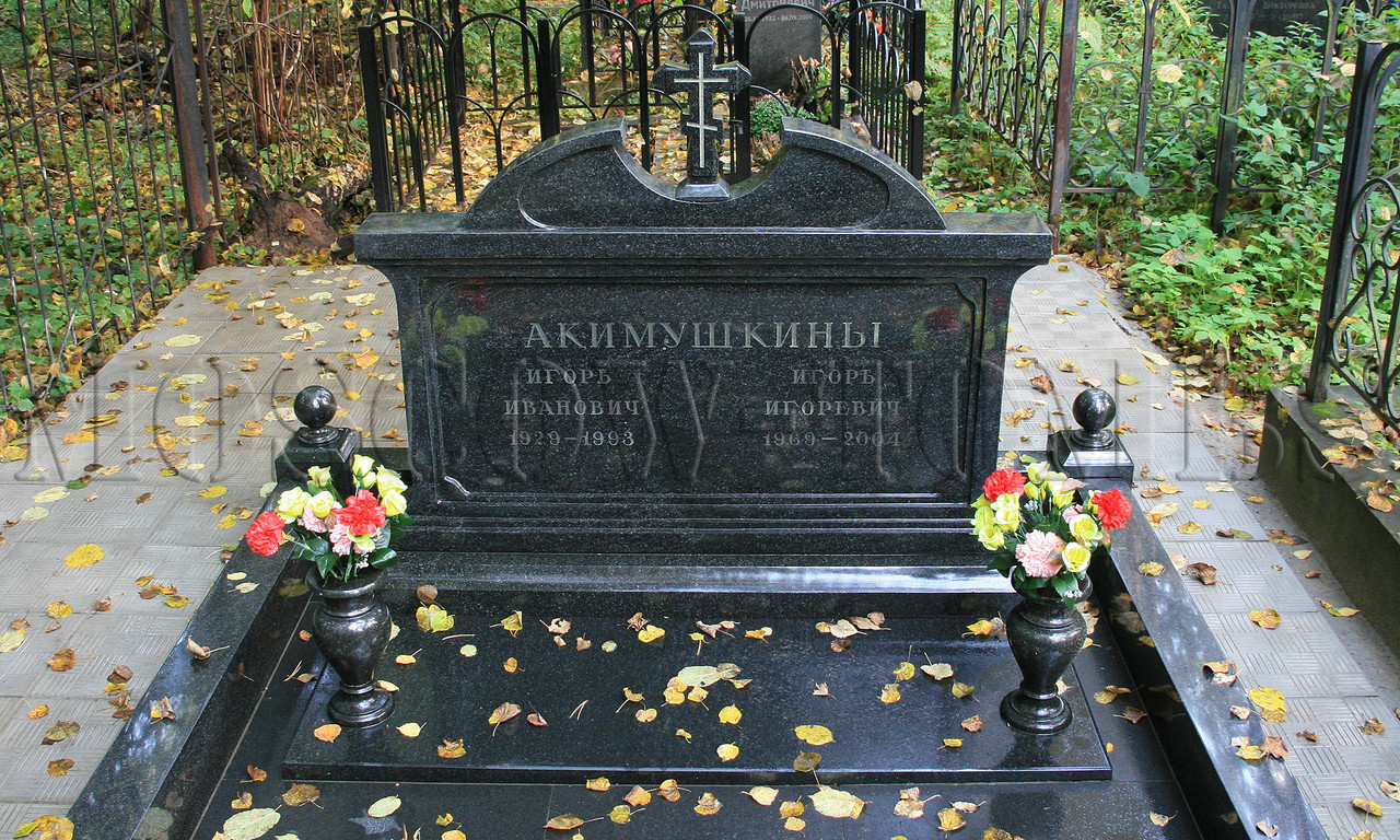 akimushkin-ii-old