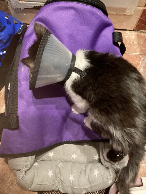 2A4C06B7-FAFC-4592-B4A8-C302991242C1