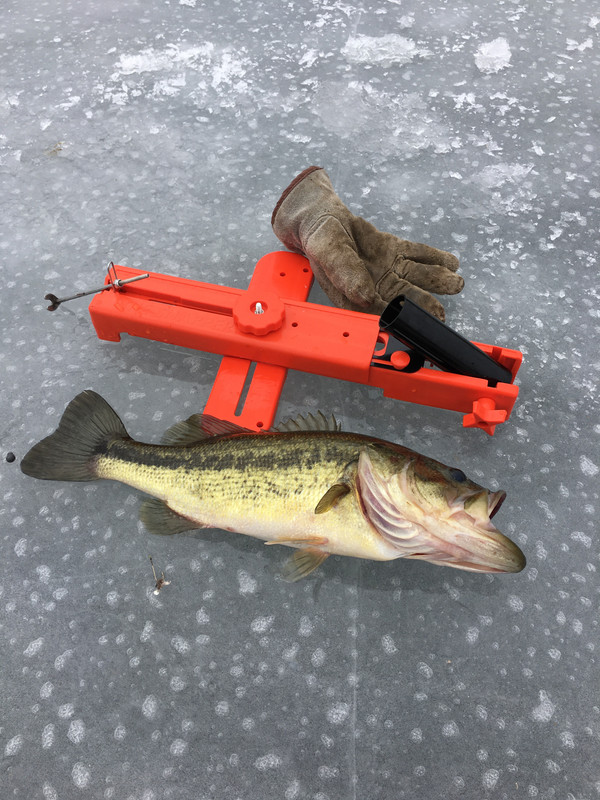 946BD15D-634F-417E-93BA-F466A6B8861A