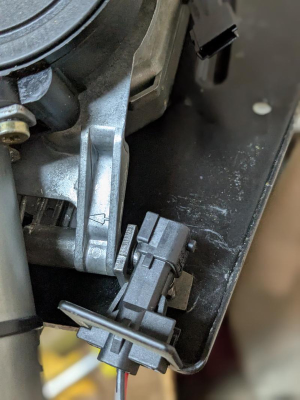 PXL_20241224_191625094.PORTRAIT