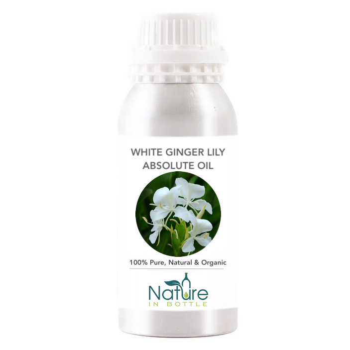 Ginger Lily Flower Meaning Best Flower Site