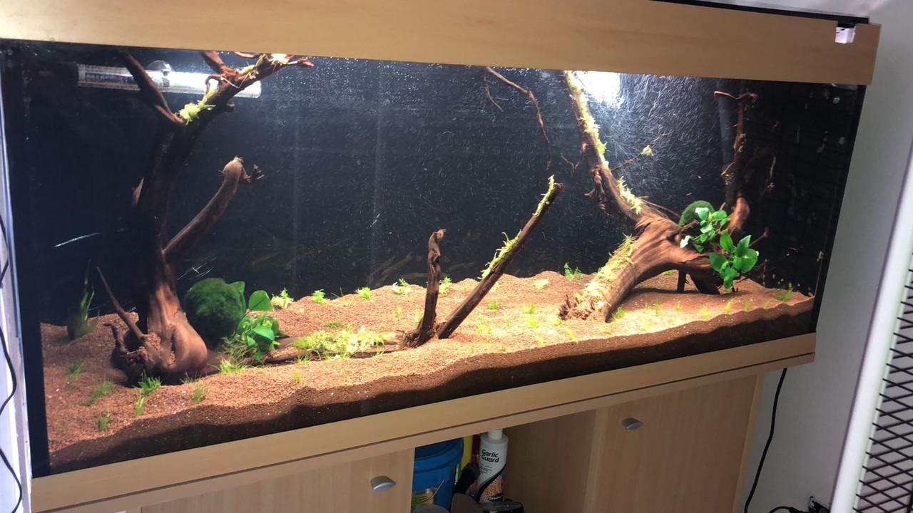 48D27618-C524-443A-A925-BB9A2720A3D2