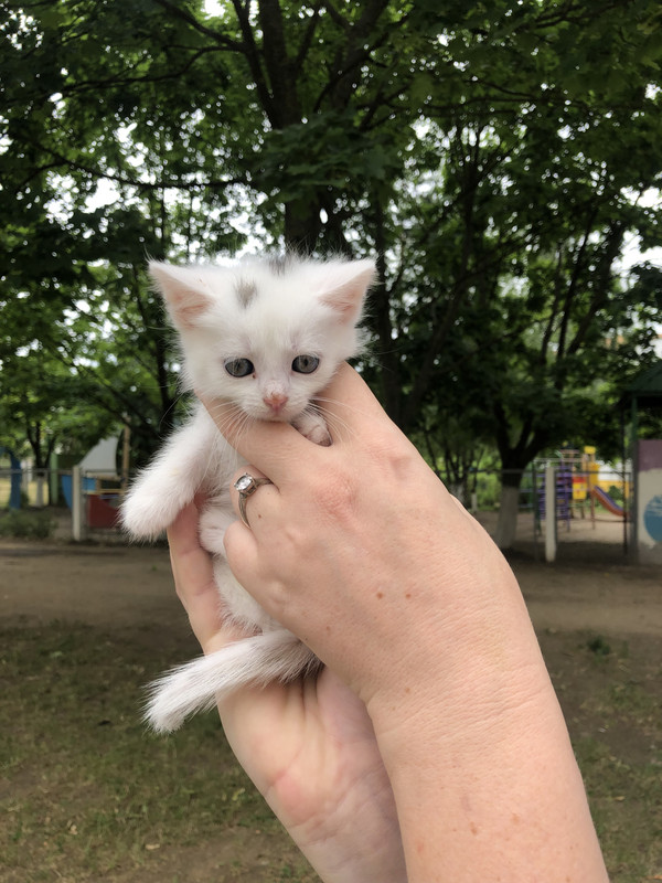 2F8CAD1D-8BF0-4AE1-8881-C7FFE01CE9AD