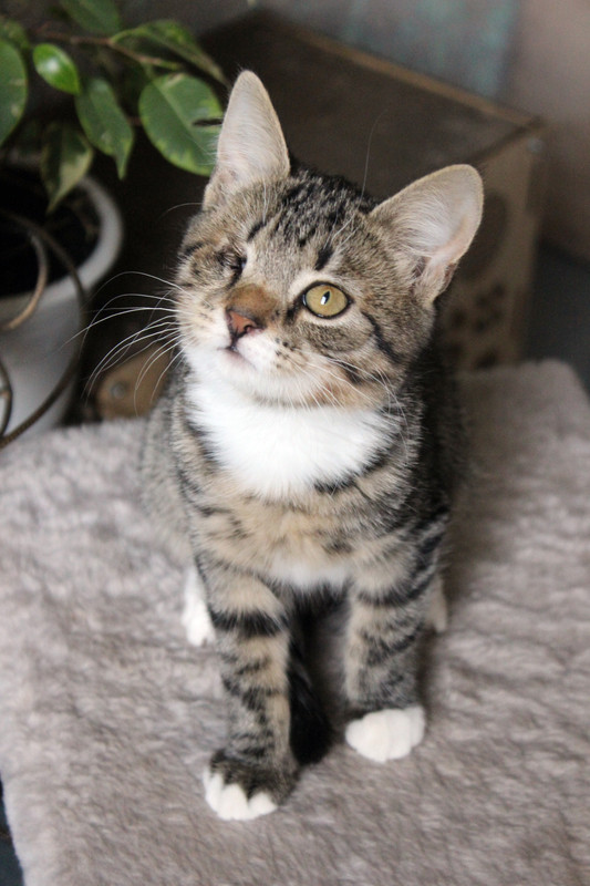 BDFFF1C0-B961-4D4A-8CA5-D8A3E7C61FBC