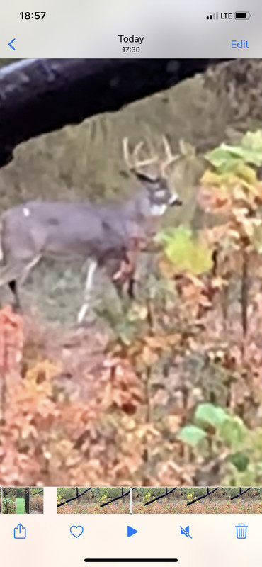 4330D1DD-B2C1-4446-A6DB-37C15390320B