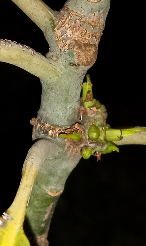 IMG_20230426_201841099~2