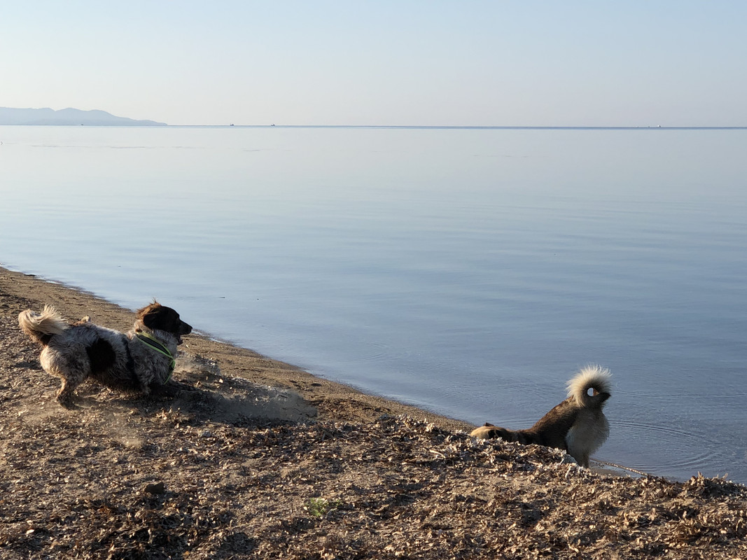 2C950975-153A-435A-8E1F-1B5B71FDA7C6