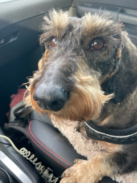 [Image: B9-B42-CB5-A6-DC-4-AB1-911-A-7-A758319-CF6-F.jpg]