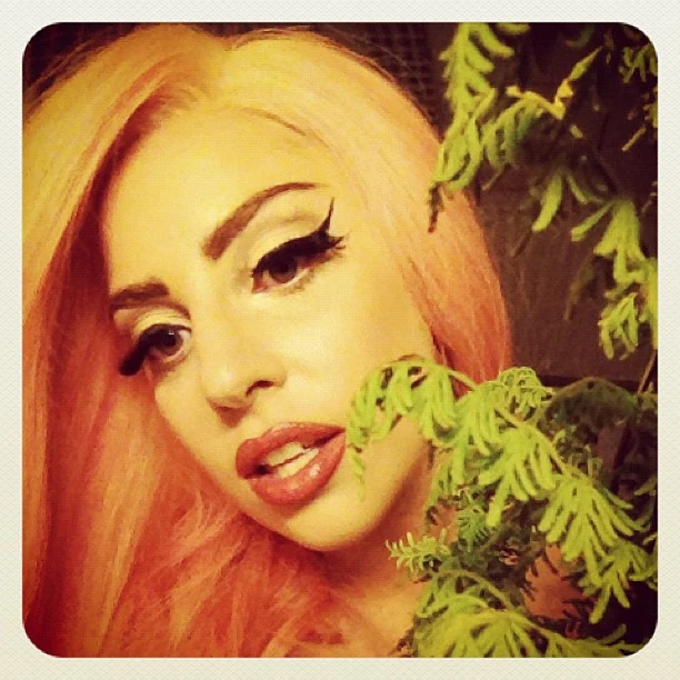 11-3-12-Instagram-002.webp
