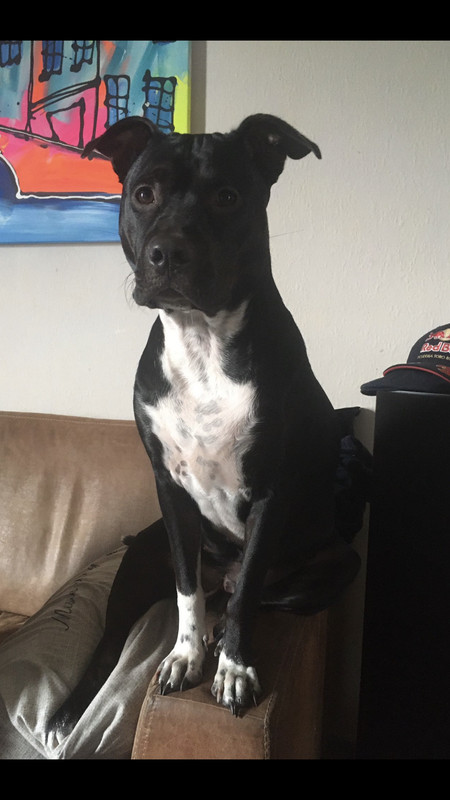 B4D4C742-D144-46E0-9B24-FE84F40FCC7E