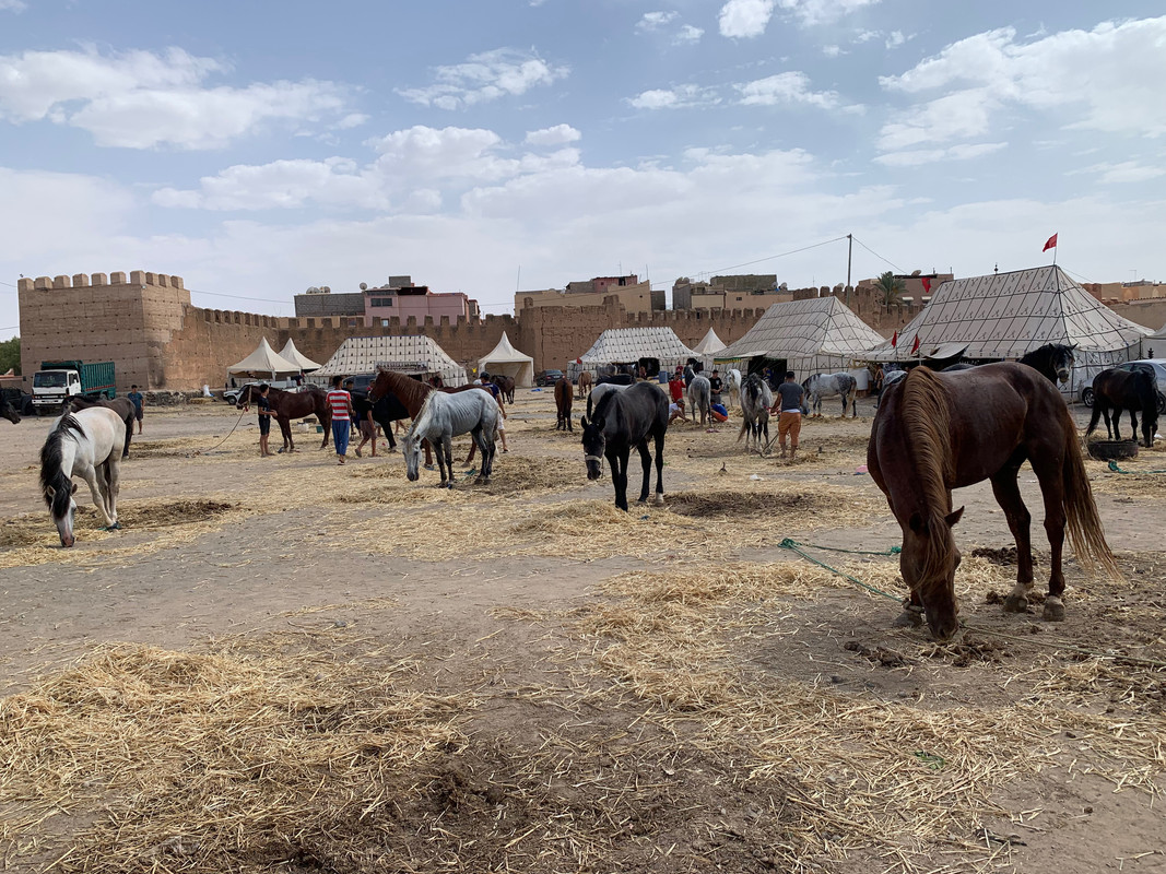 Sur de Marruecos: oasis, touaregs y herencia española - Blogs de Marruecos - Tarudant y la Kasba de Tioute (9)