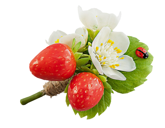 Mariposa_Kit_44