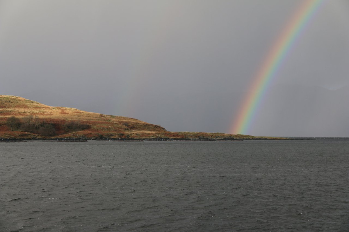 24F72536-1874-4A34-9012-1AC2A2E19549