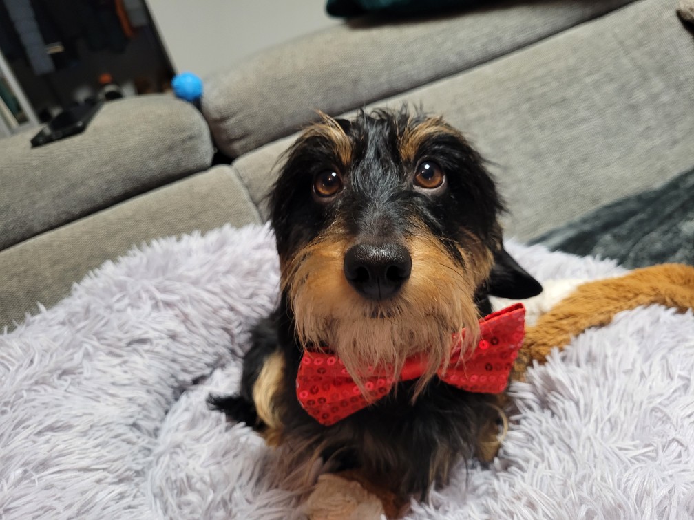 [Image: Resized-20221224-174842.jpg]