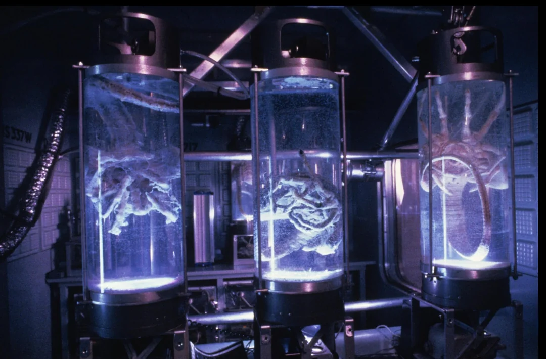 [Image: the-medlab-original-look-vs-bluray-v0-eg...089f1.webp]