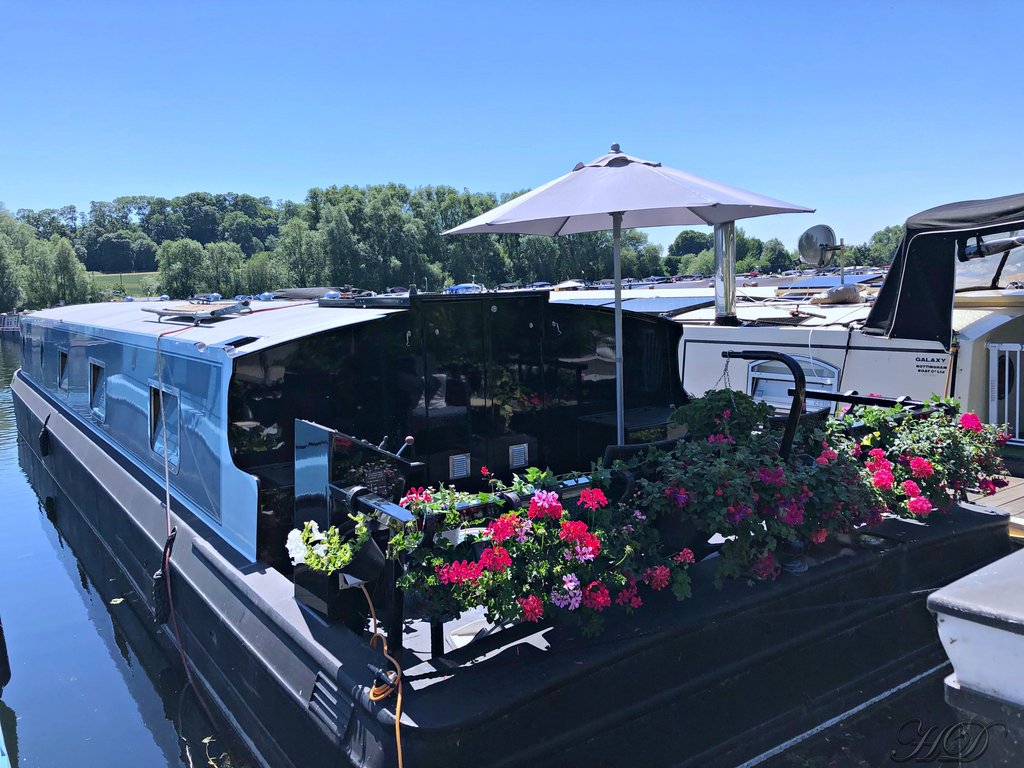 boats-canal-sunny-day-flowers-HD.jpg